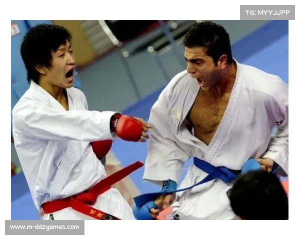 空手道锦标赛日本队失利，伊朗选手破垄断